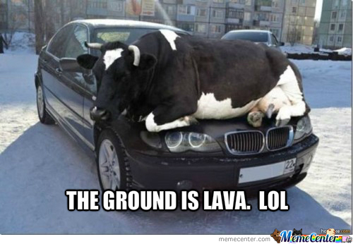 cow-lava_o_1622803.jpg