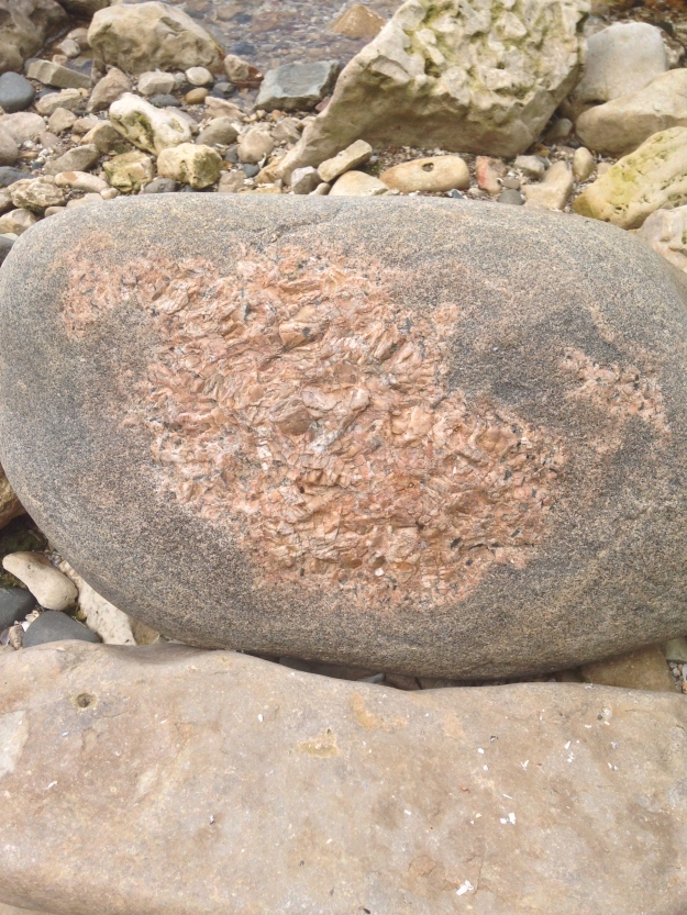 This rock with the wound of exposed granite really caught my eye.  I took one picture dry, then wet it down with the rest of the water in my water bottle (which I regretted on the hot bike ride home). 